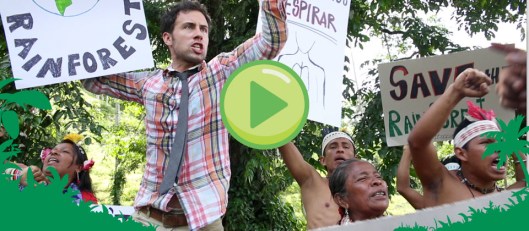 followthefrogweek2012-video-homeslide